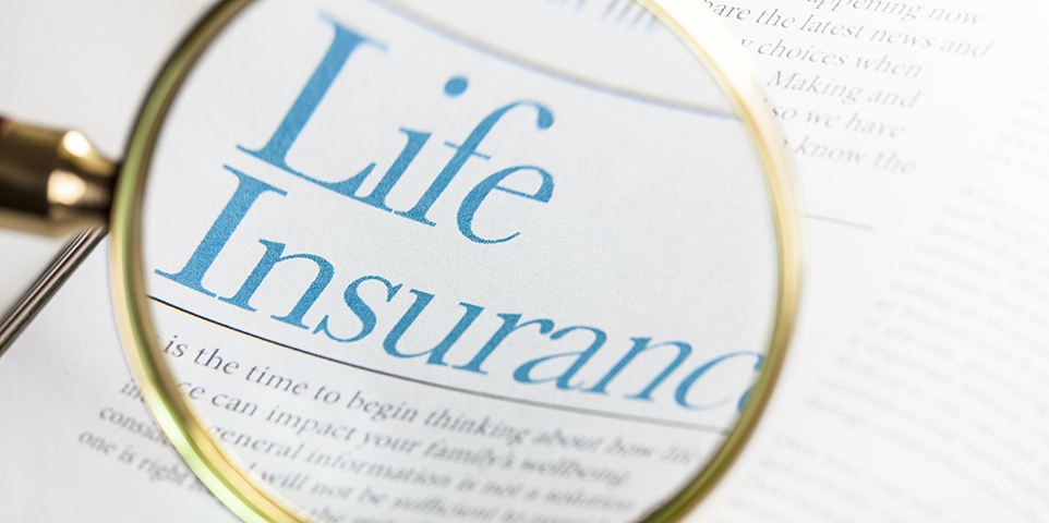 What are the Three Main Types of Life Insurance?